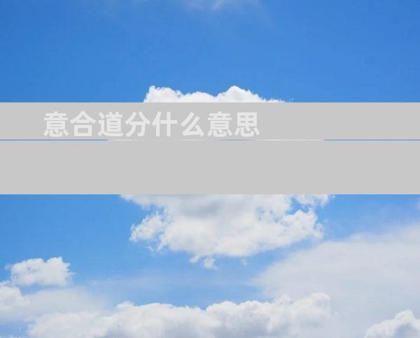 意合道分什么意思