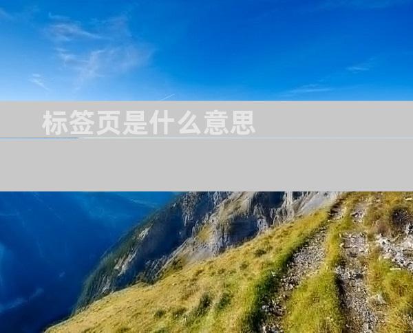 标签页是什么意思