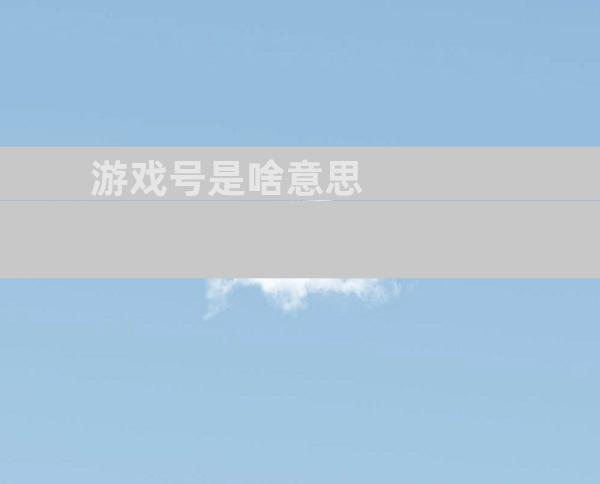 游戏号是啥意思
