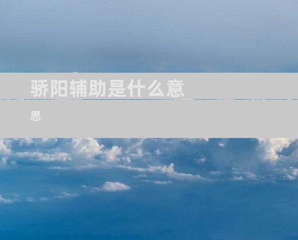骄阳辅助是什么意思