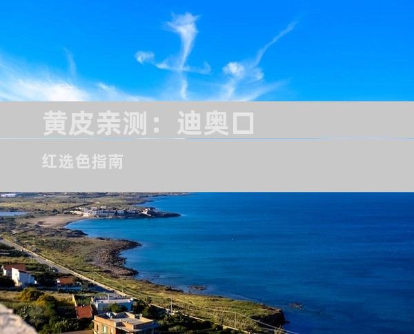 黄皮亲测：迪奥口红选色指南